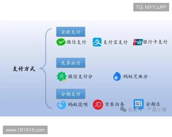 K1体育平台app的多种支付方式详解